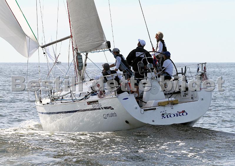ORCi2 593.jpg
